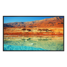 Monitor LCD 65 inchi 4K UHD 8ms 60Hz - Dahua LM65-S400