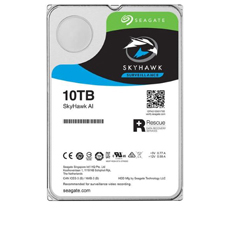 Hard Disk Supraveghere 10TB SkyHawk AI — Seagate ST10000VE0008