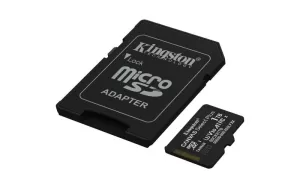 KINGSTON-SDCS3/1TB-1TB microSDXC Canvas Select Plus Gen3 15 - Imagine 3