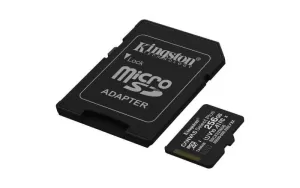 KINGSTON-SDCS3/256GB-256GB microSDXC Canvas Select Plus Gen3 - Imagine 3